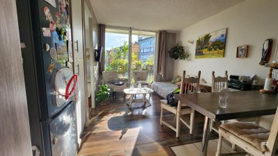 CentroCasas.cl Venta de Departamento en Valdivia, Las Animas